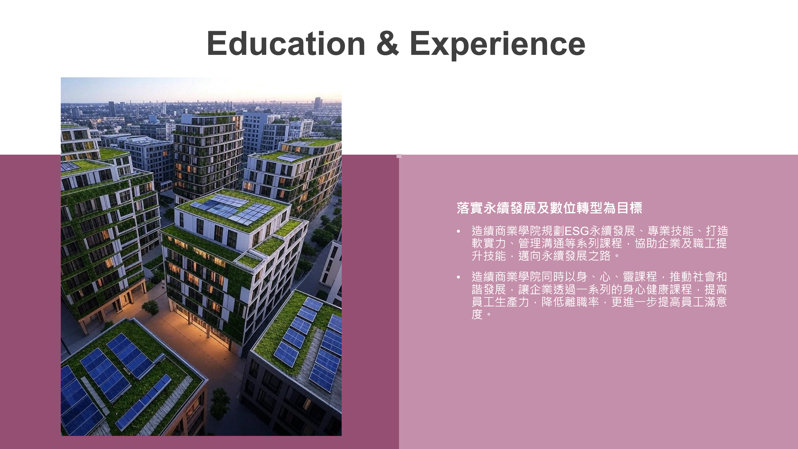 螢幕擷取畫面 2025-06-02 150559